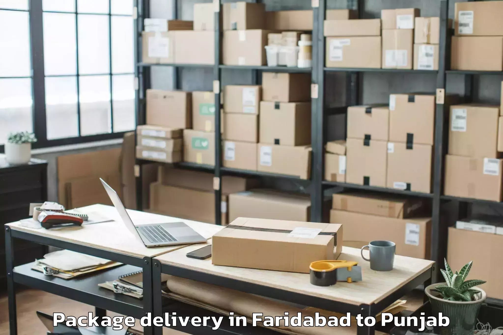 Book Faridabad to Malerkotla Package Delivery Online